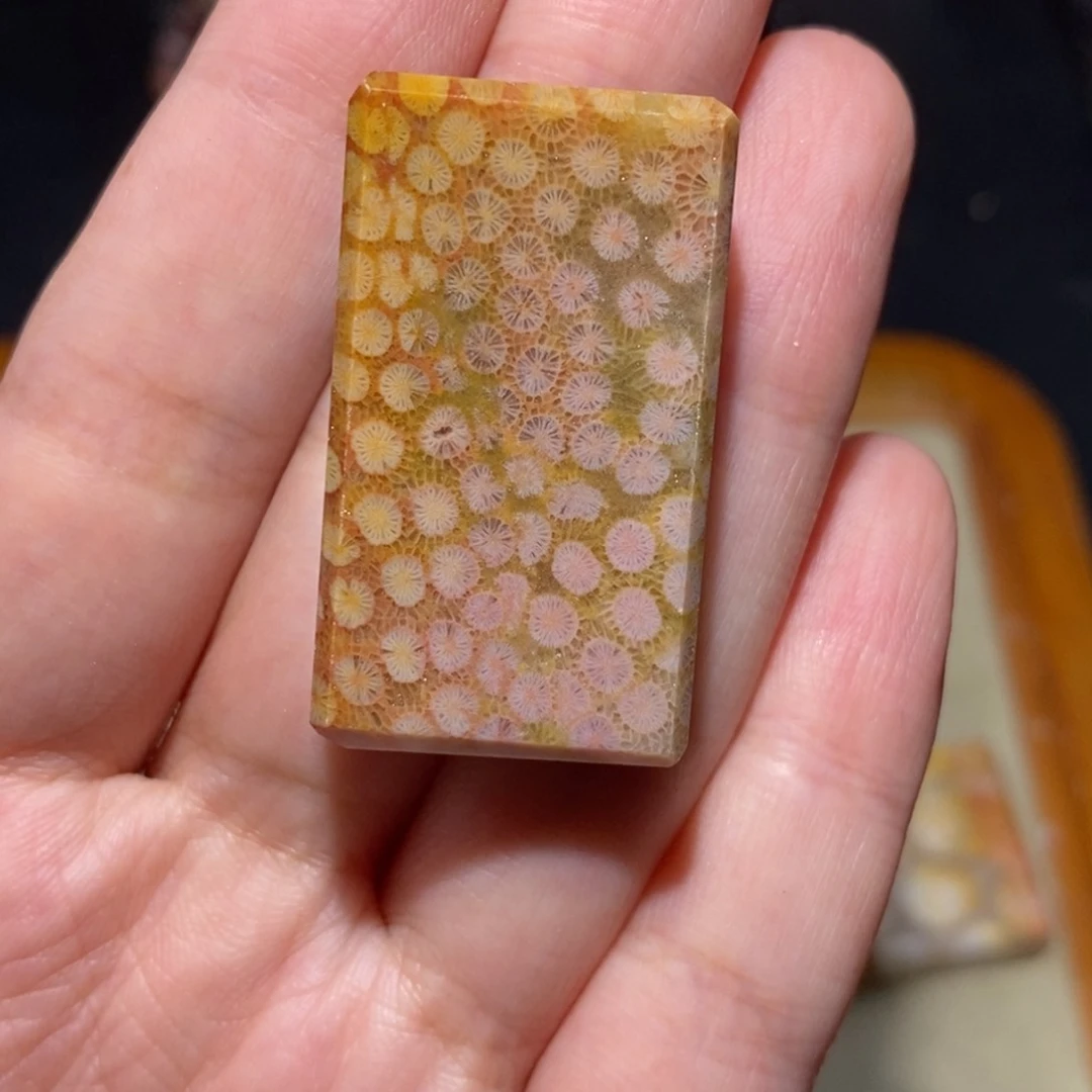 【闪购商品】硅化玉珊瑚玉未镶嵌