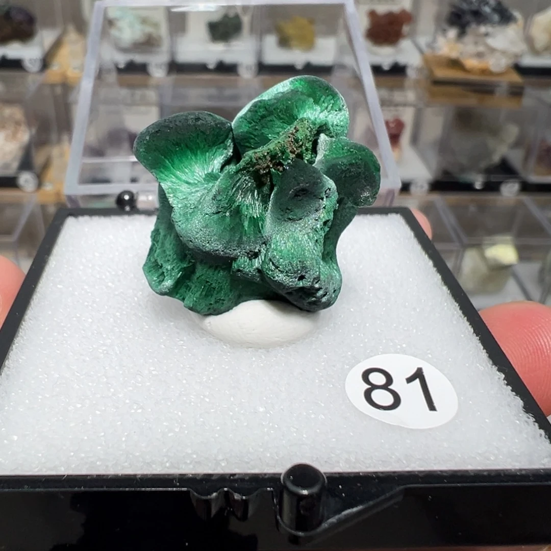 大型摆件（非配饰）紫晶银S925镶嵌