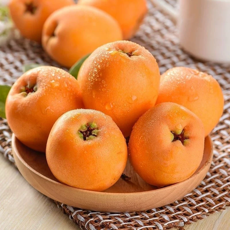 四川大五星枇杷新鲜水果现摘现发皮薄多汁孕妇当季清甜水果