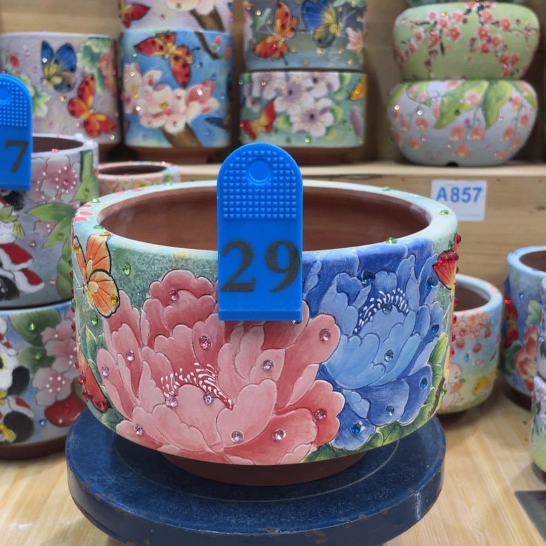 小*哥多肉花盆拼盘微瑕