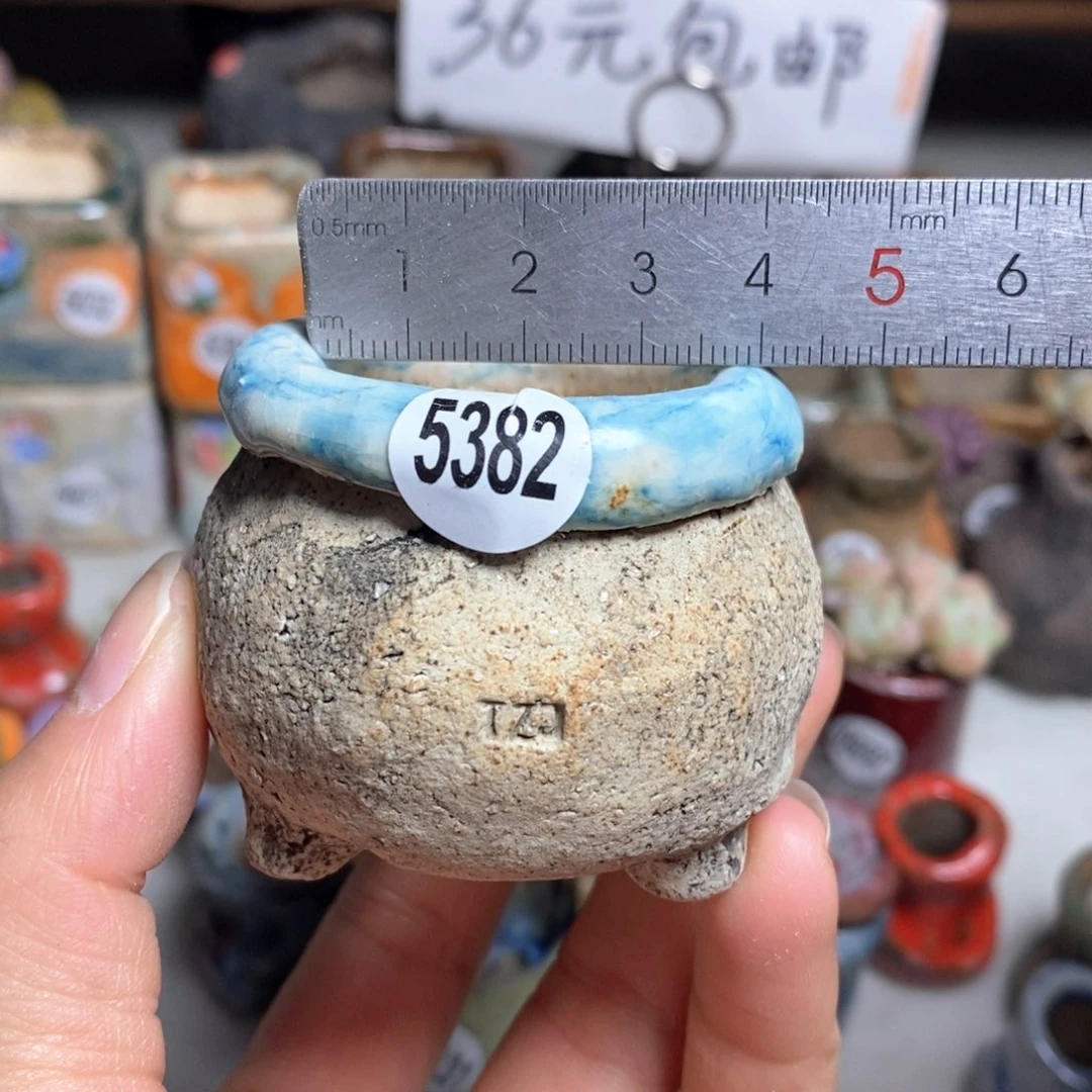 花盆拍3送一个小礼物