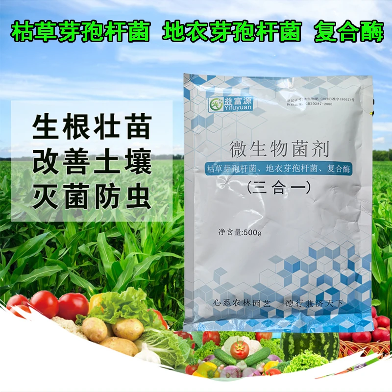 枯草芽孢杆菌地衣芽孢杆菌复合酶三效合一微生物菌剂抑菌治菌调理