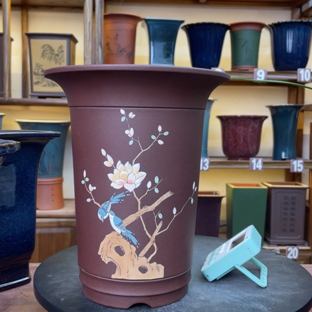 【闪购商品】紫砂花盆兰花555888853369985555