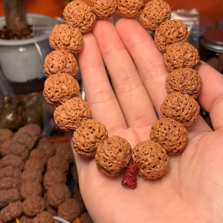 手串金刚菩提18尺寸