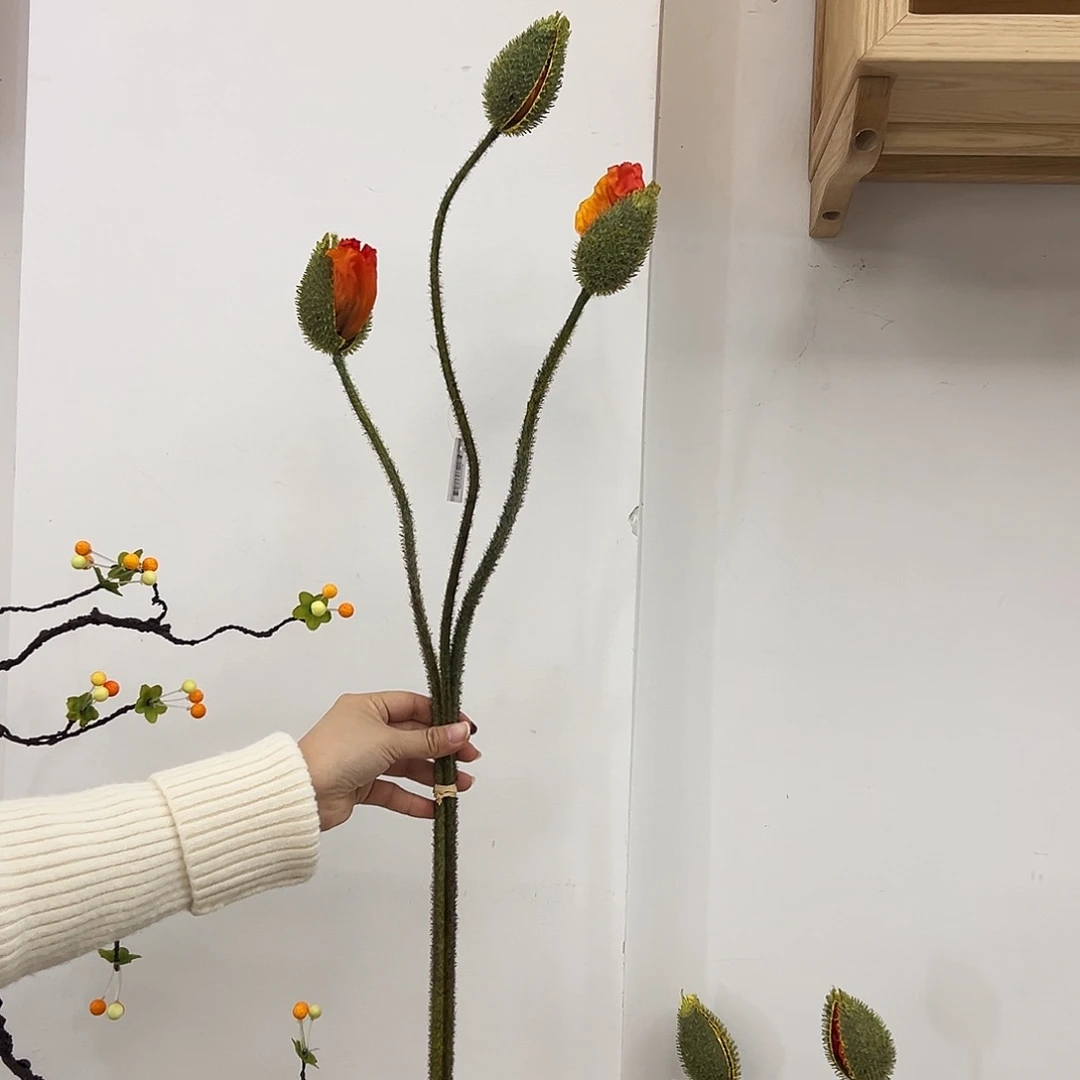 抖音直播福利三支