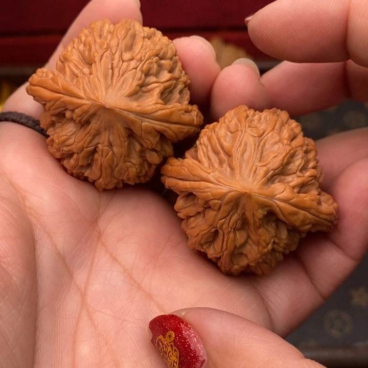 核桃虎头王41尺核桃