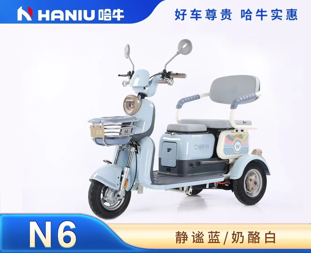 小型家用休闲代步一体车N6
