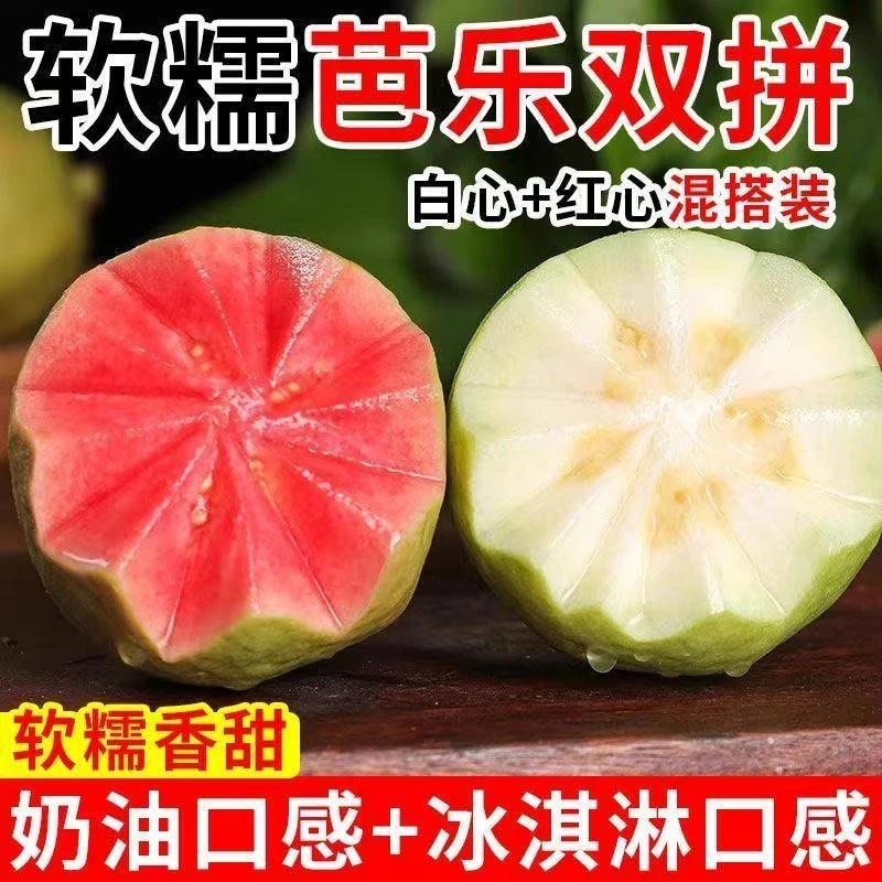 广西当季新鲜奶油芭乐白心红心软糯香甜礼盒装水果广西壮族自治区