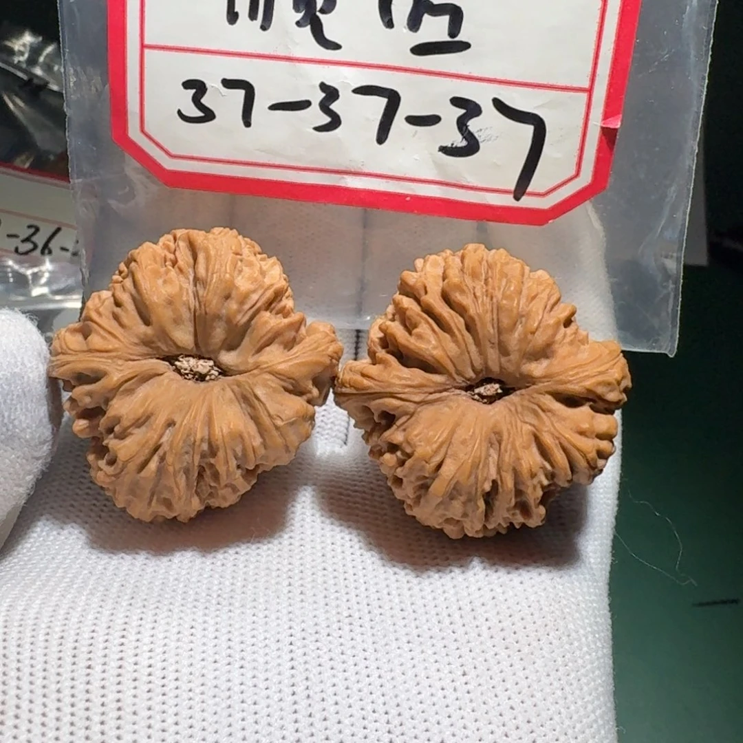 文玩核桃把件5号留疤肉凹