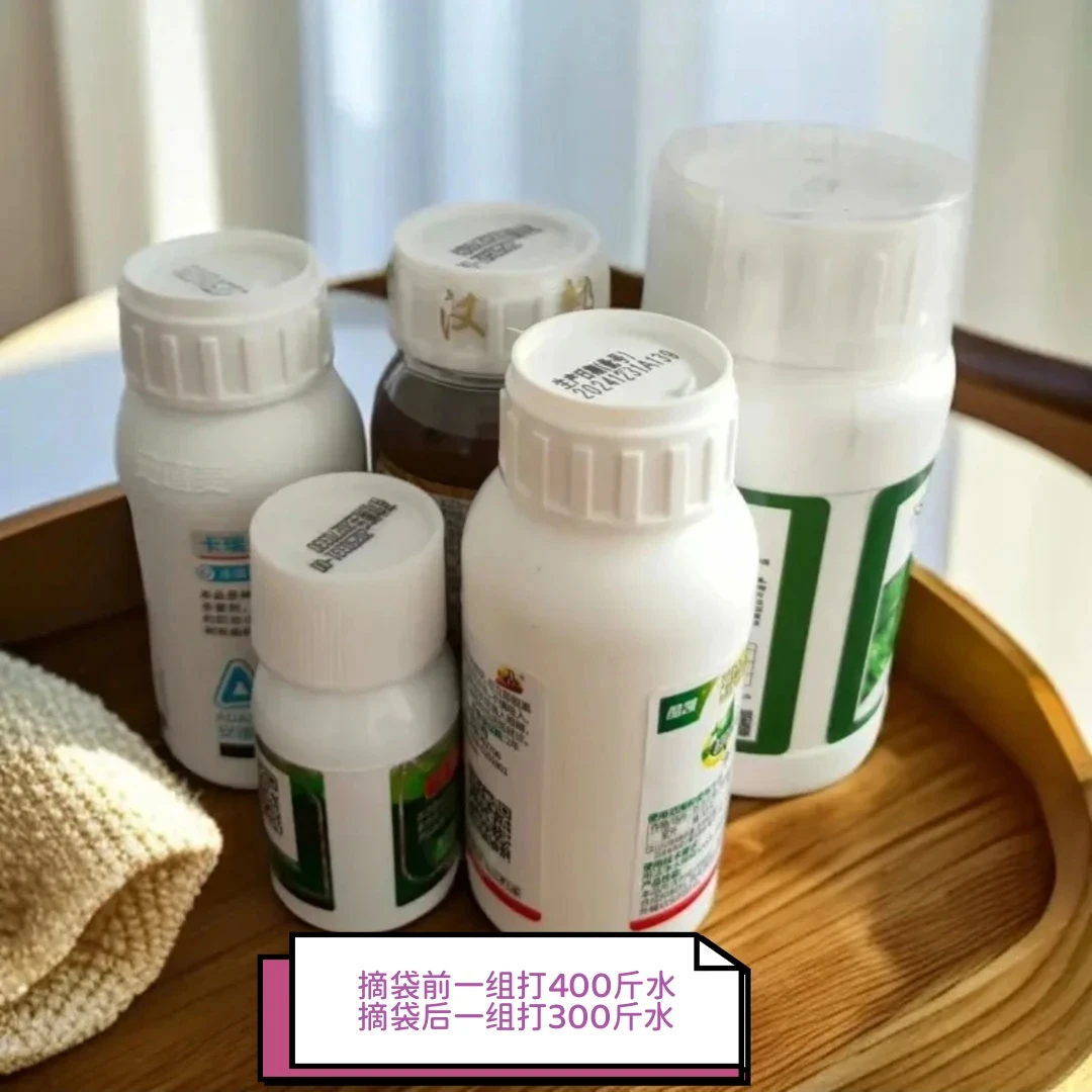 丁老师富士苹果摘袋（前）（后）的药叶面肥