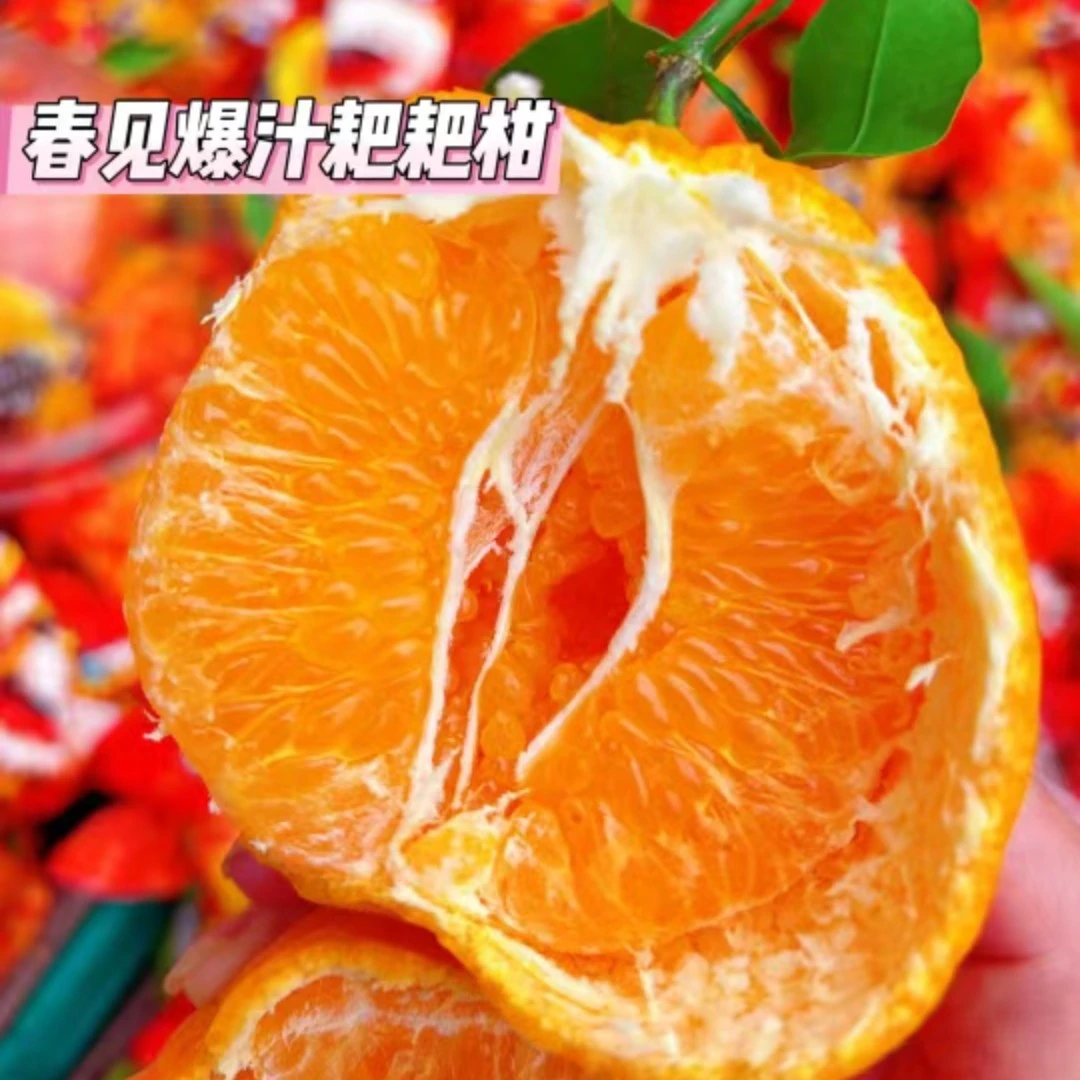 利氏春见耙耙柑一箱4斤耙耙柑几内亚云南省七台河市