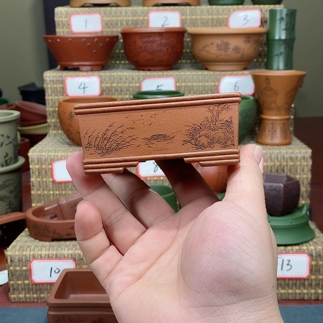 紫砂花盆我在等他