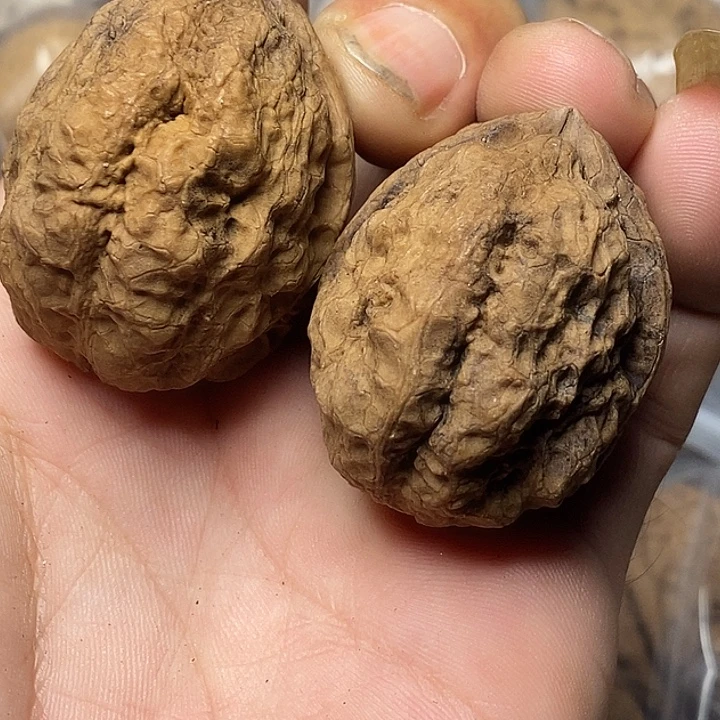 把件文玩核桃云南铁核桃35