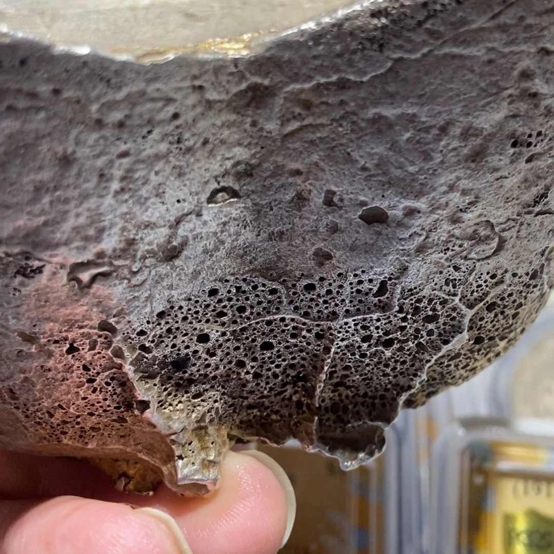 银天**m五十两银鼎/国福泉信/73448