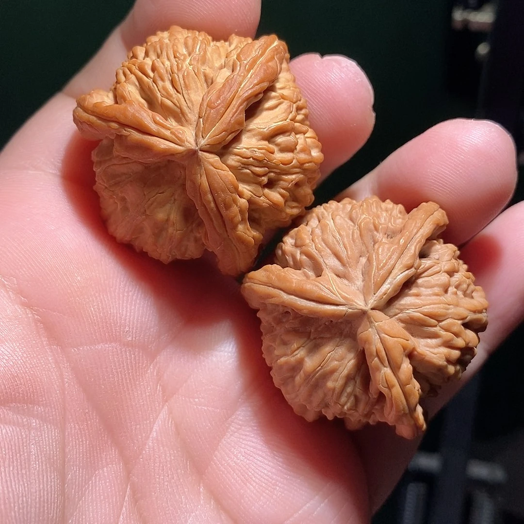 把件文玩核桃39白奔全品