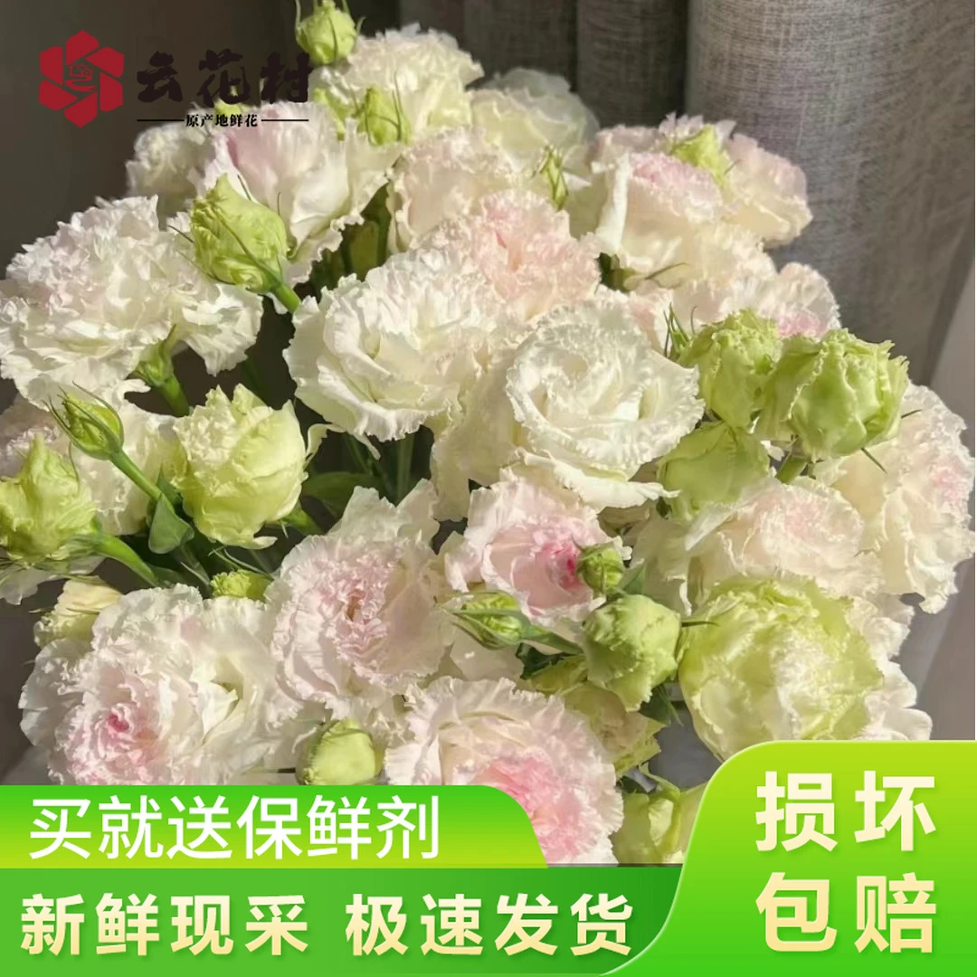 冰淇淋洋桔梗400g【全店任意满2件发顺丰京东】云南鲜花基地直发