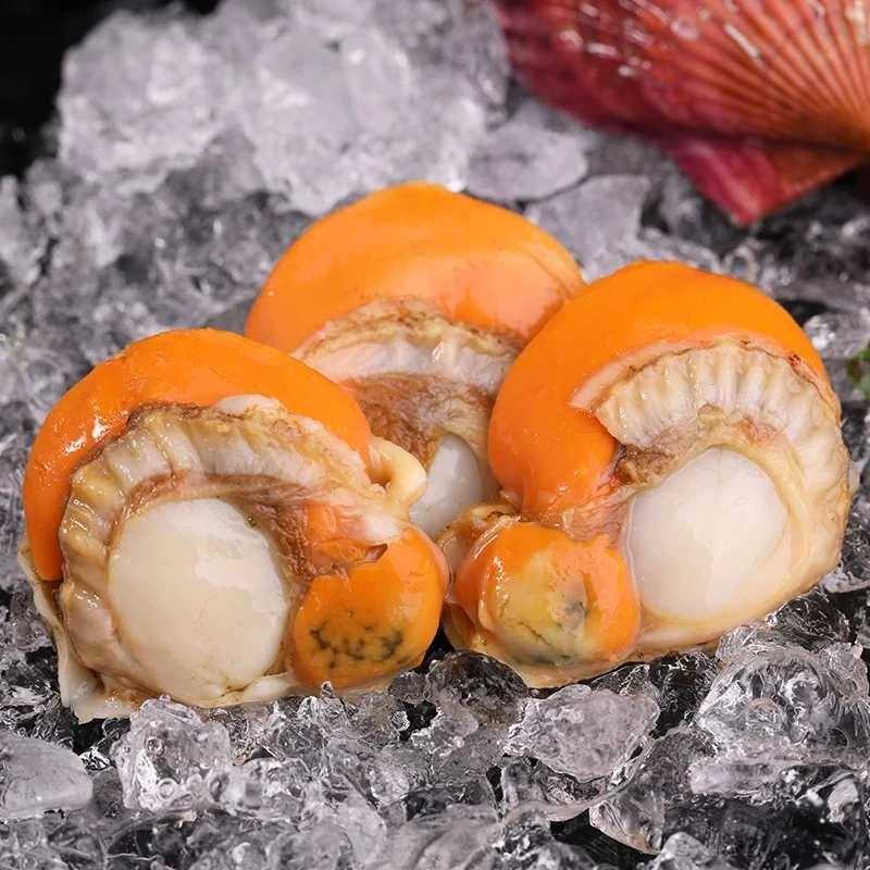 大奔家带黄扇贝肉（250克一包到手6包共3斤）