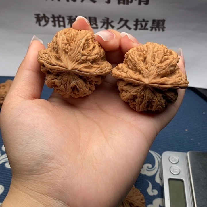 逸***.核桃粗筋全品对子50。1