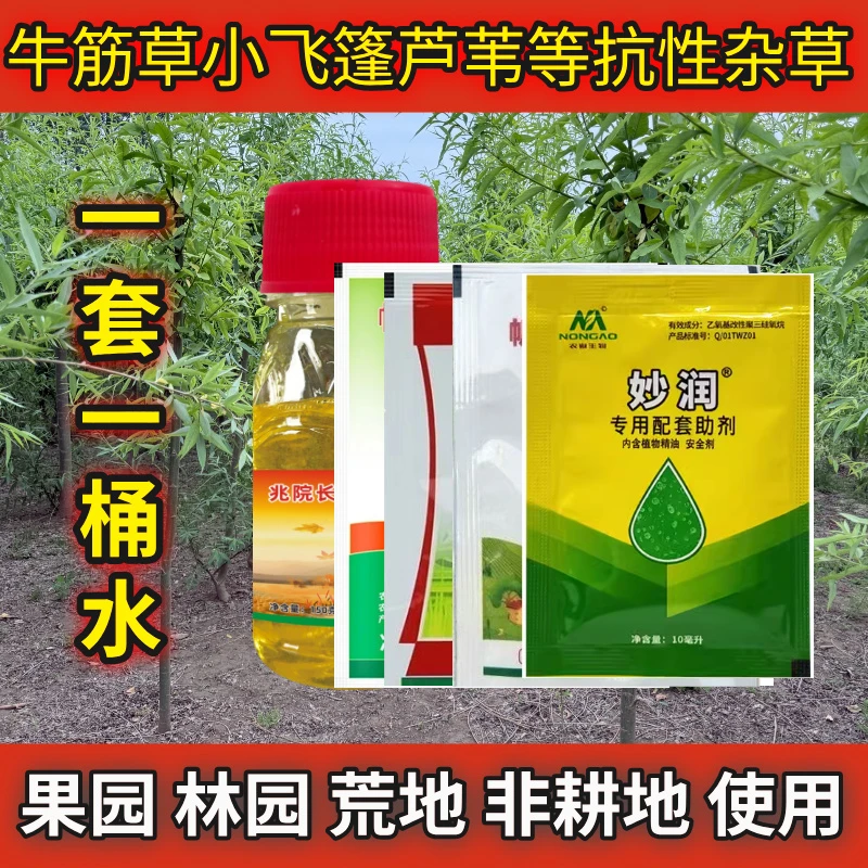高含量果园非耕地除草剂抗性小飞篷牛筋草除草烂根农用正品