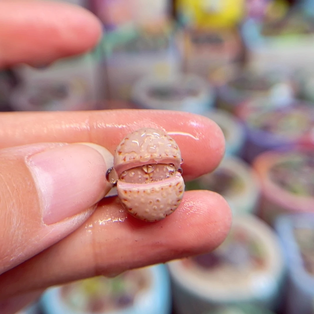 171。88888888888888888888