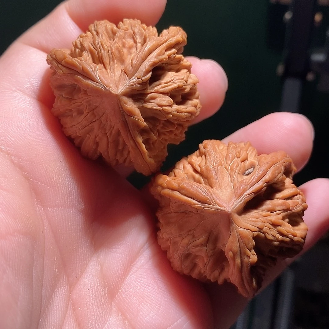 文玩核桃把件41虎头奔全品