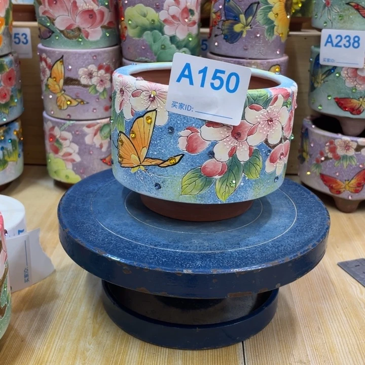 多肉花盆顶冠花盆微瑕