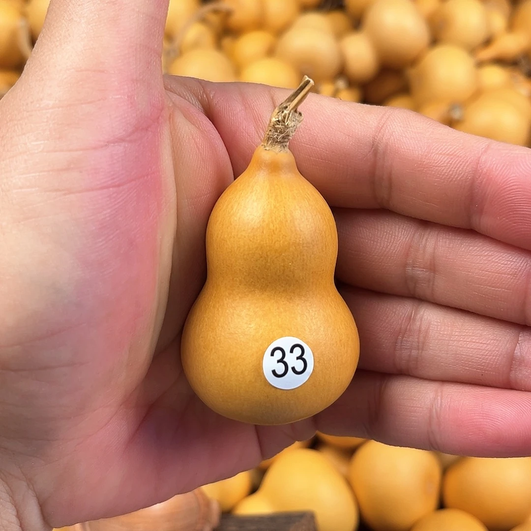 二葫芦葫芦葫芦葫芦33