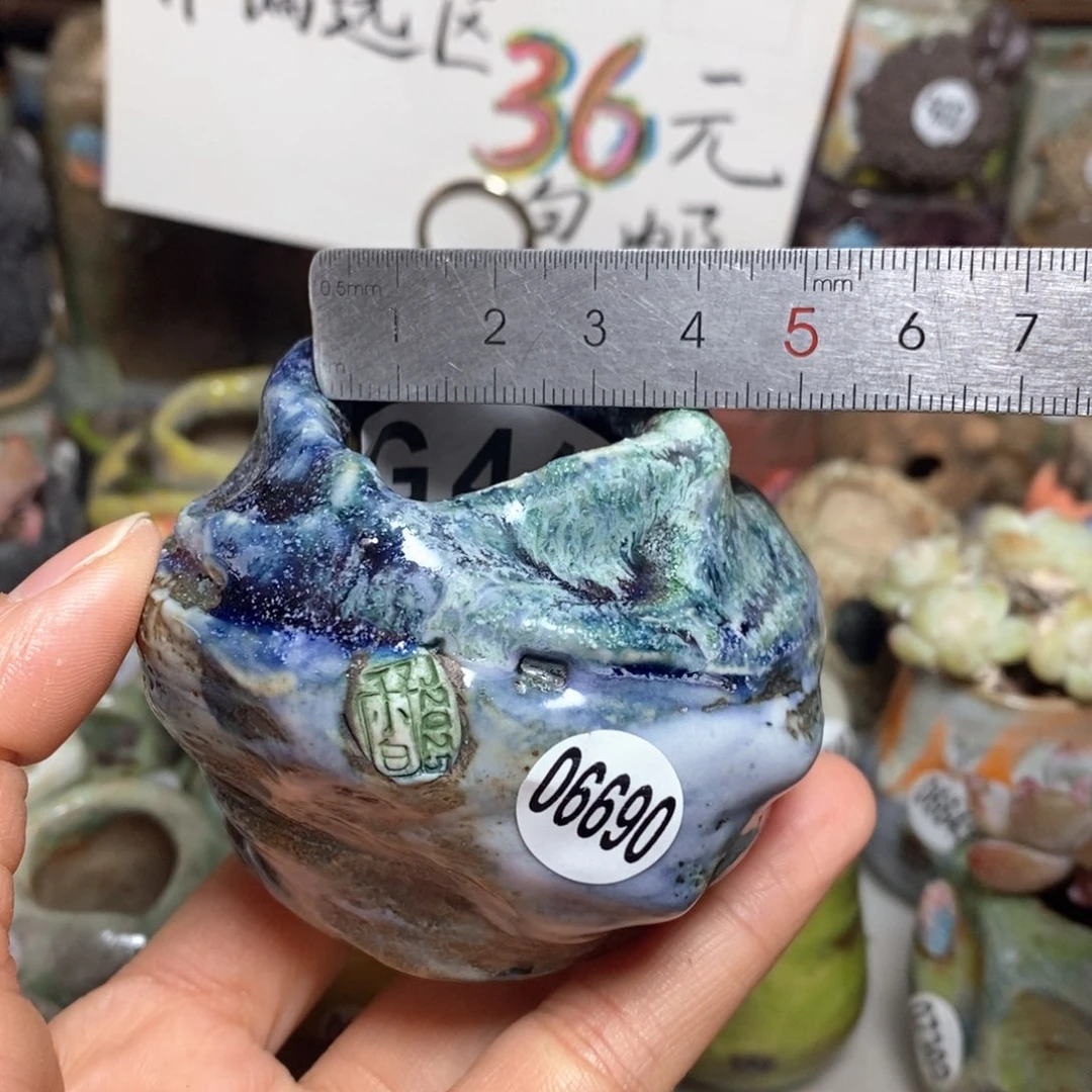 花盆拍5送一个小礼物