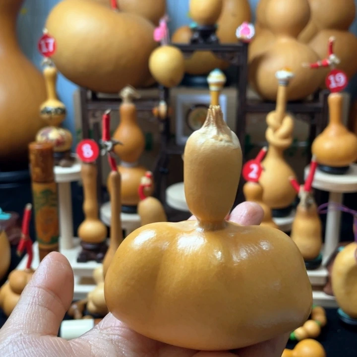 杰***1好葫芦在在于它可以成为