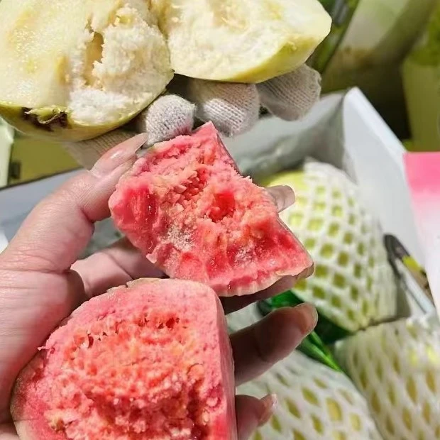 双拼芭乐1500g（一箱）