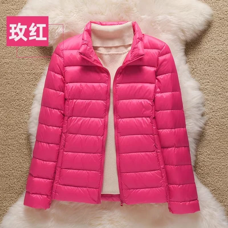 鸭鸭大师轻薄羽绒服新款白鸭绒春秋冬保暖休闲连帽大码立领修身反