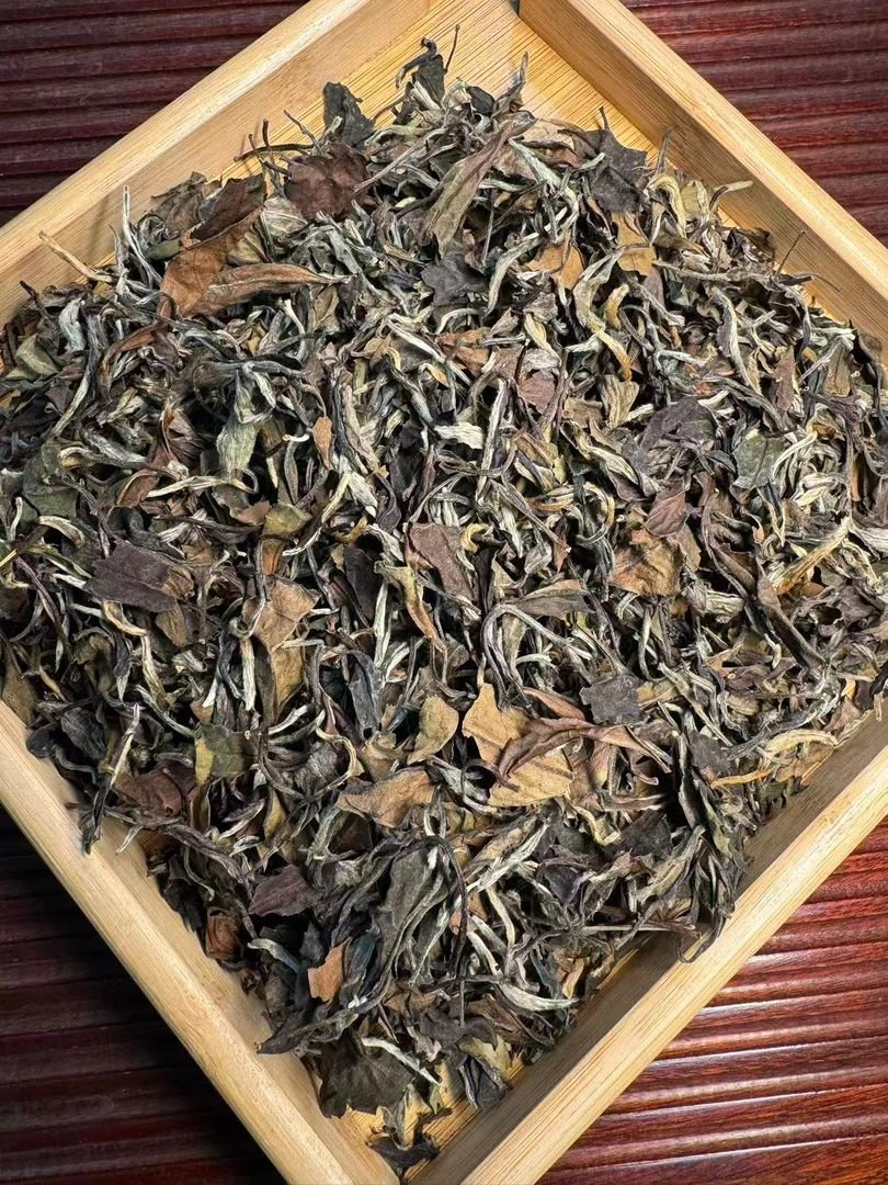 2008年老贡眉 君君收茶 福鼎白茶12月4