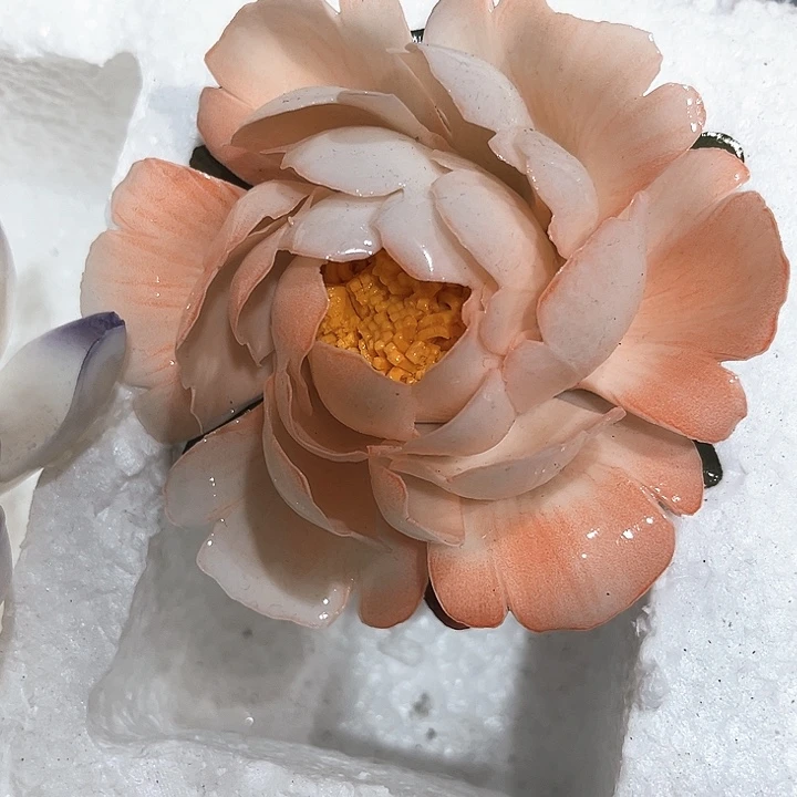正品花花花花花花不