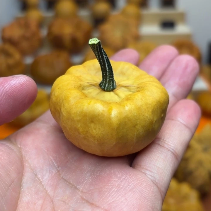 特价福利不退不换