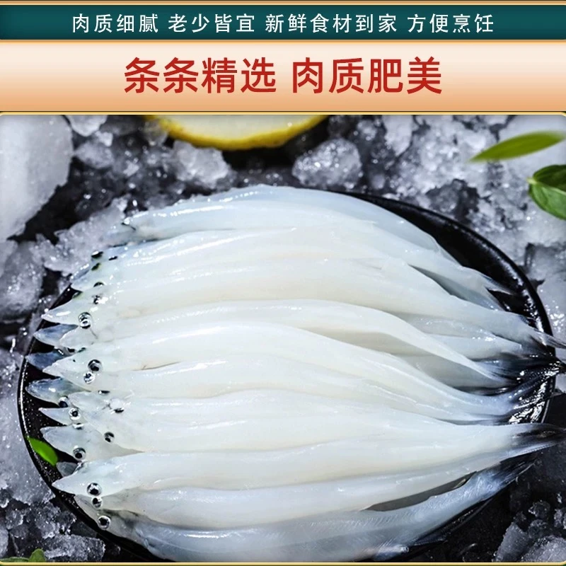 野生特大号银鱼,白饭鱼【宝宝辅食推荐】
