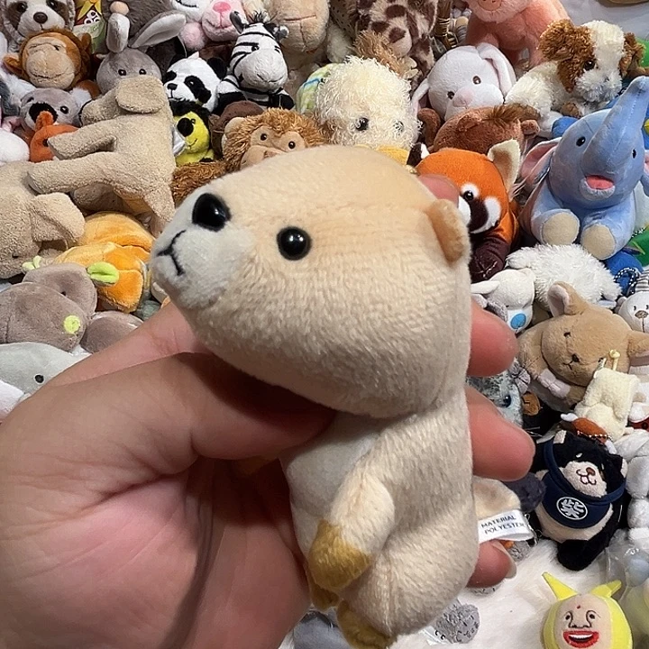 毛绒挂件哈哈哈哈哈哈哈