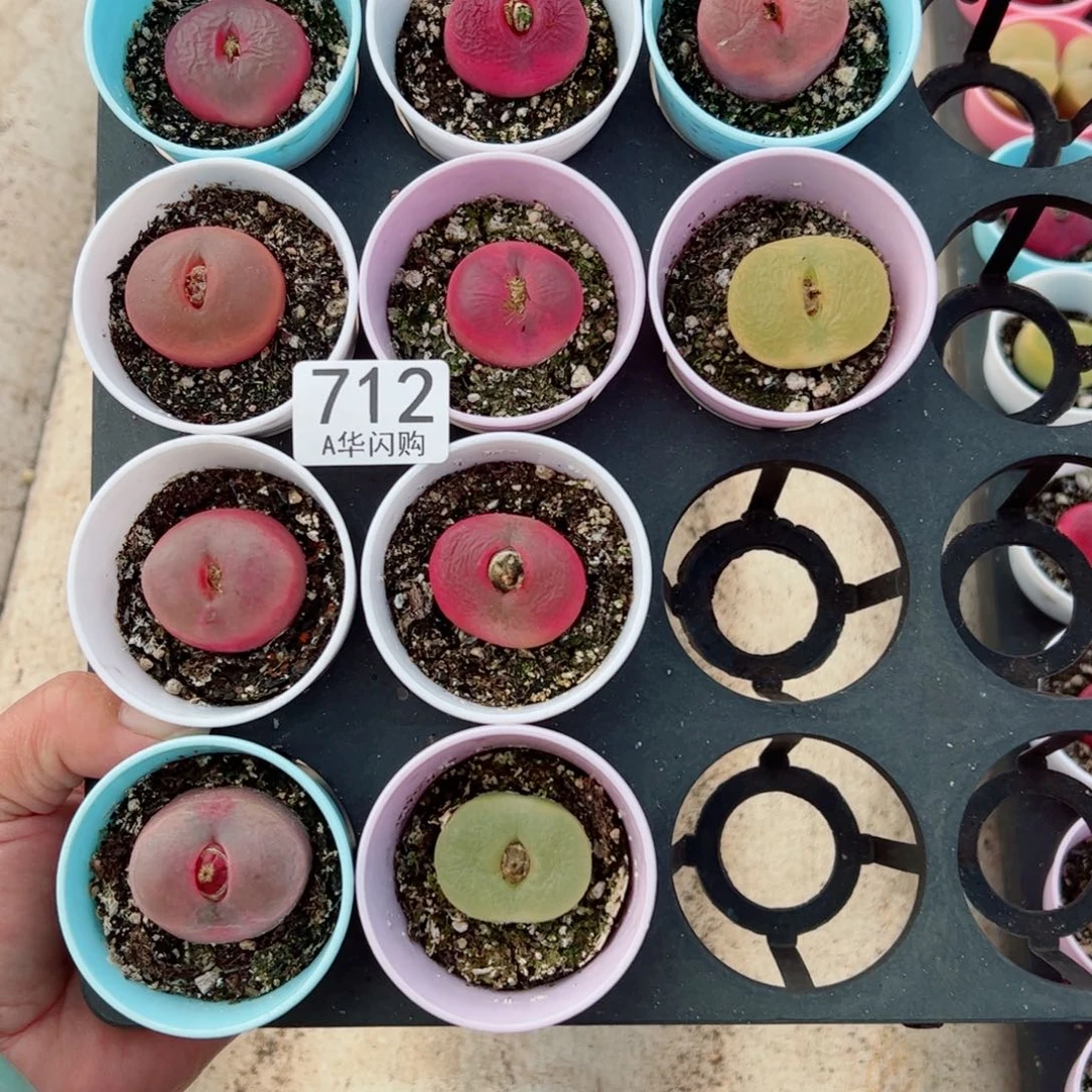 尹*.我很喜欢这个A712