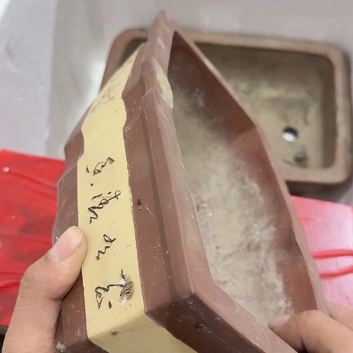 北***洋扇子 宝贝宝贝宝贝宝贝宝贝宝贝不好