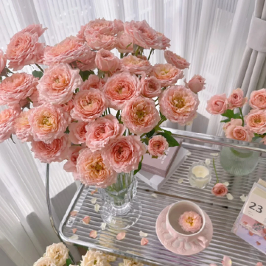 【牛马家】朱丽叶塔多头玫瑰10枝-任意两单升级顺丰或EMS空运包邮