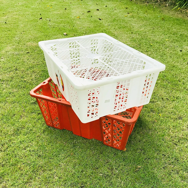 塑料筐红色白色黑色配色长方形家用特大号镂空