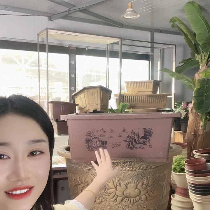 盆景60公分一个无孔