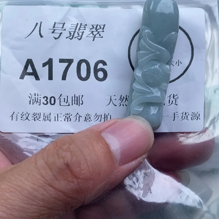 翡翠未镶嵌颈饰aa