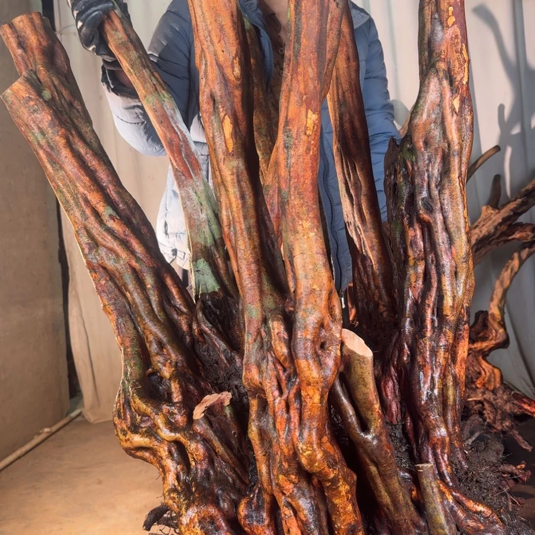 清****888888888888888888