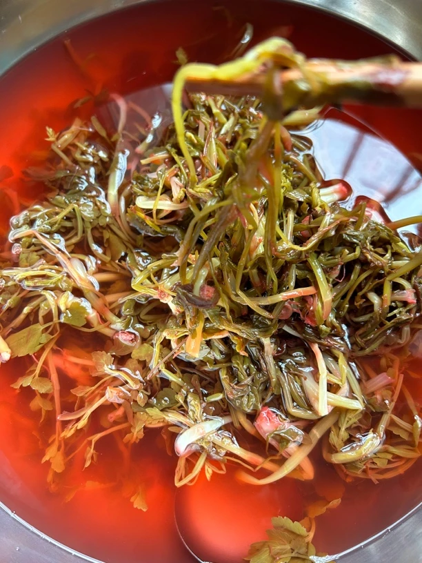 贵州特色酸汤野芹菜