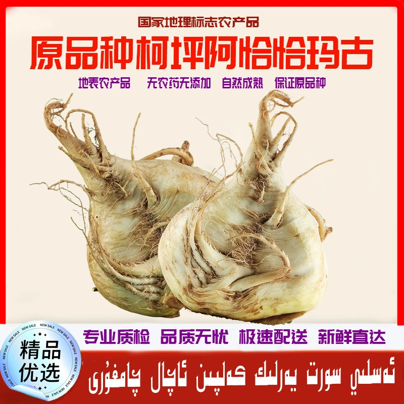恰玛古蔓菁柯坪阿恰恰玛古碱性蔬柯坪白皮恰玛古新鲜采摘碱性蔬菜