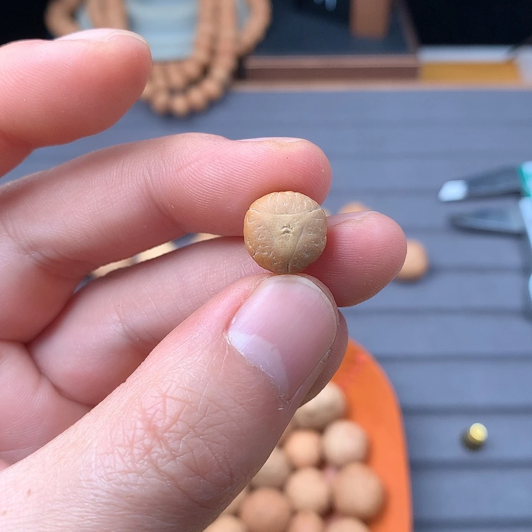 吊坠凤眼菩提被***梦12+实心龙。非质量问题开孔不退