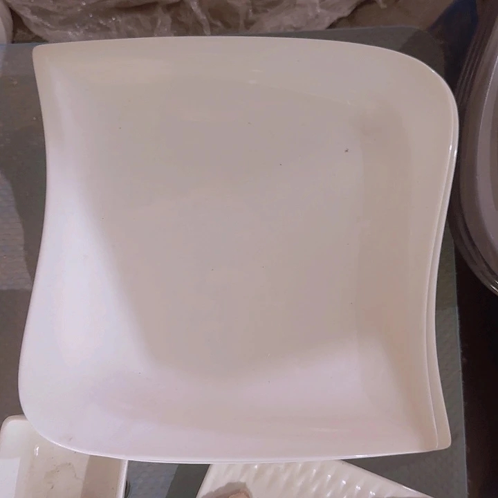 瓷10 英寸 异性盘子 2 个