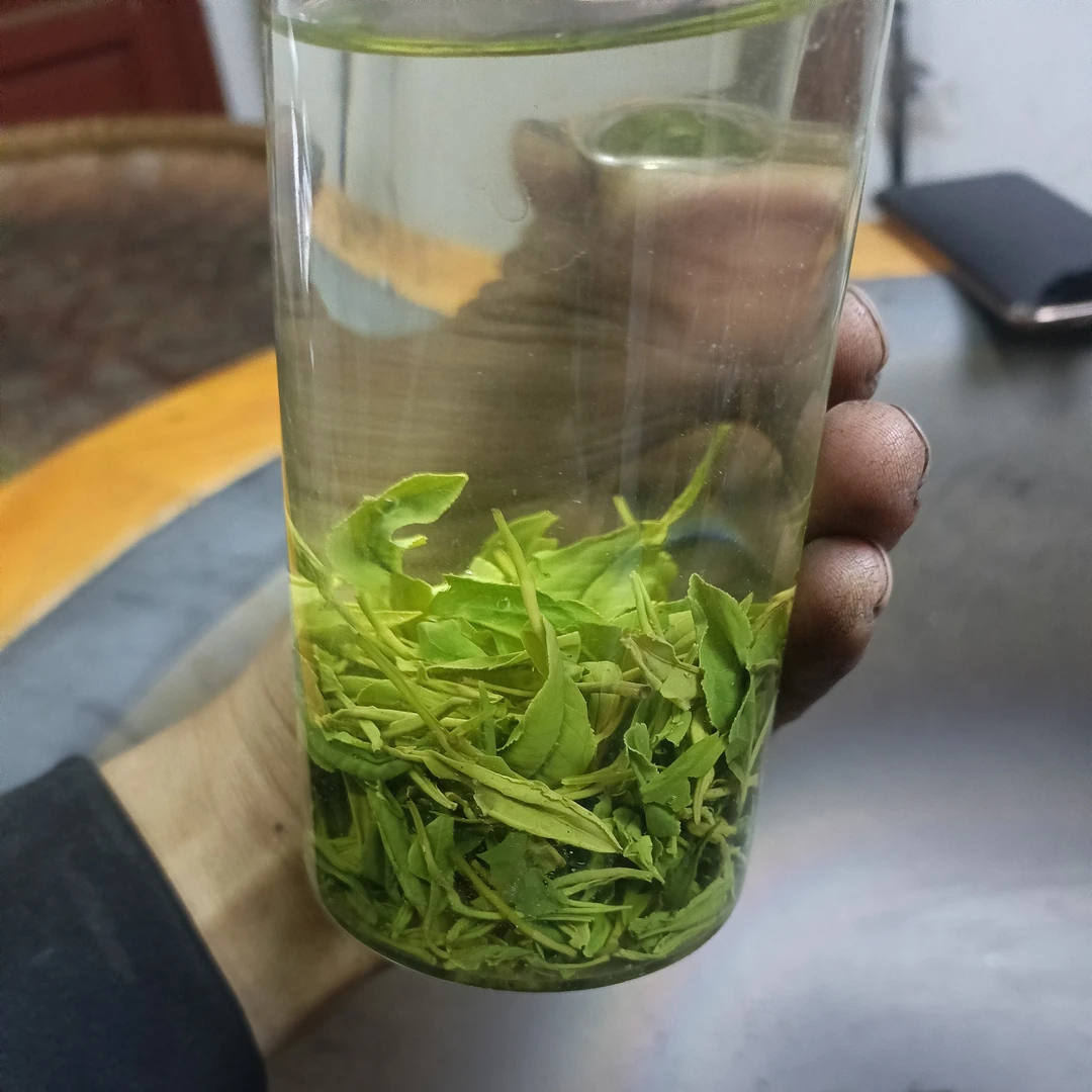 云雾绿茶新茶正宗云雾绿茶袋装茶叶嫩芽特充足绿茶新茶2025新茶