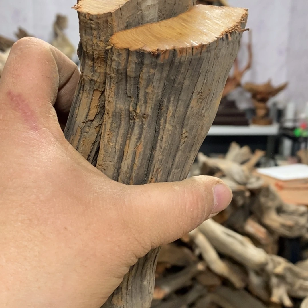 柏木?****?我们都是好孩子