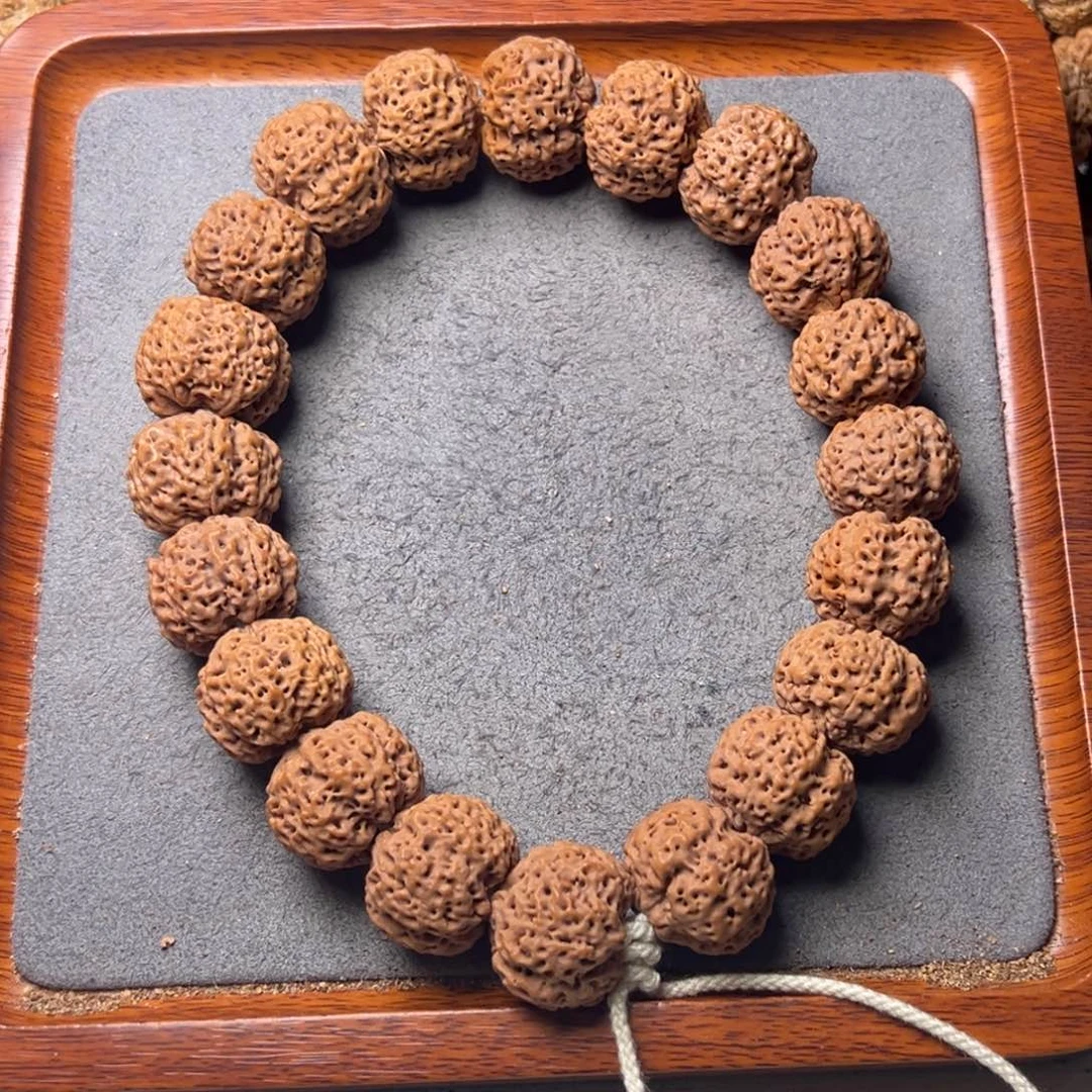 菩提15号金刚菩提五星蜂王手持23